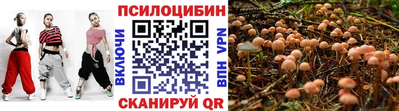 цены   Белово  Галлюциногенные грибы мухоморы 